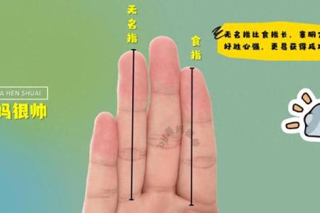 透视命运:通过先天手相揭秘人生轨迹与性格特征