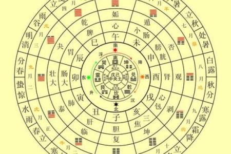 探秘五行命理:土命与金命的深刻解析