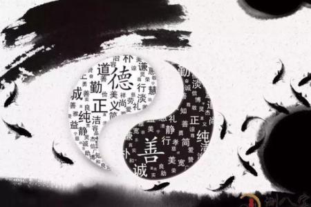 探寻命星的秘密:如何查找属于自己的命星