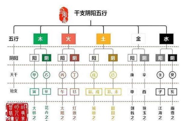 阴命与阳命：探索命理背后的深层含义与影响
