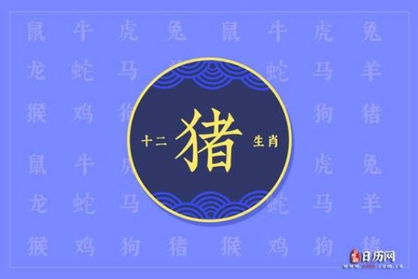属猪正月出生的人命理解读：幸福与机遇并存的美好人生