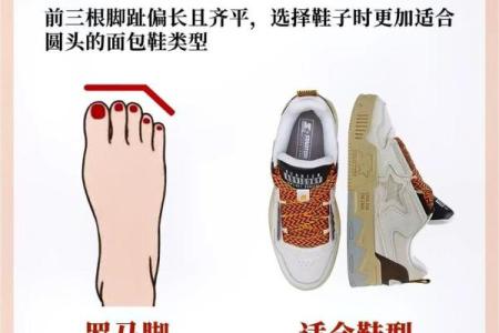 探索脚型与命运的奥秘:你的脚告诉你什么?