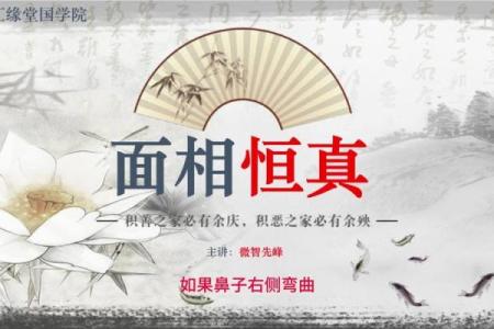 天生富贵命,探寻命运的秘密与成功的密码
