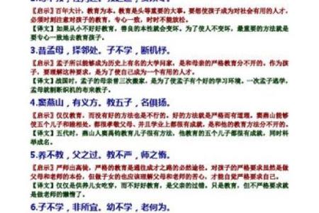 探寻命理的奥秘:巳命互禄丁的深刻解读与人生启示