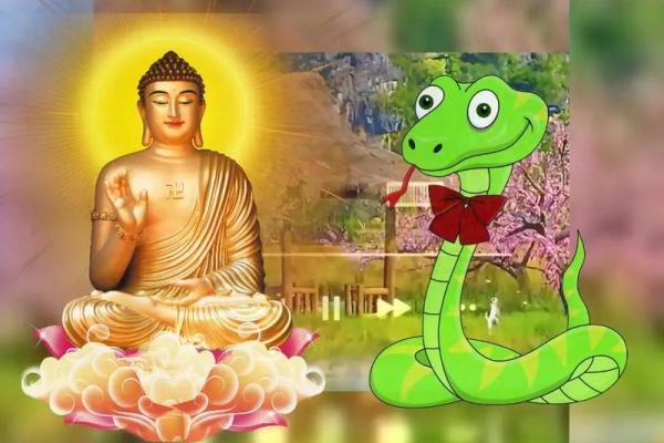 四十六岁属蛇的命运解析：揭开生肖的神秘面纱