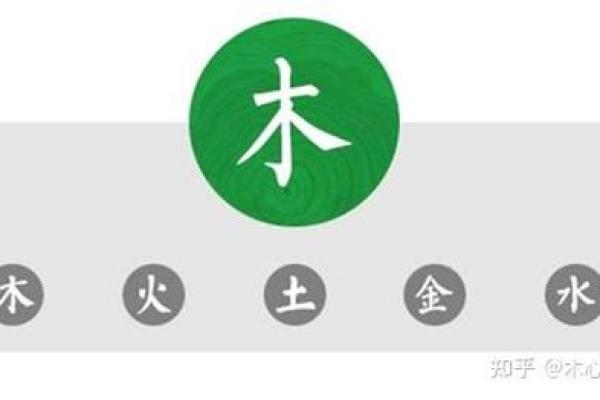 杨柳木命与五行相生：探寻最佳搭配之道