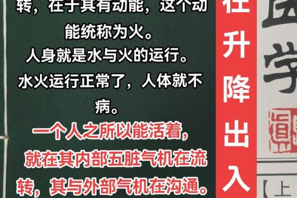 五行之中，火生木，如何解读火的力量与意义？