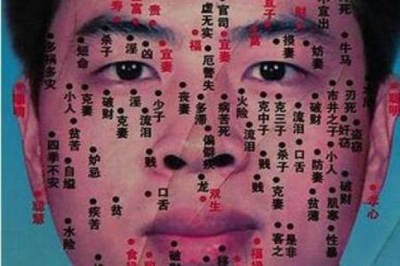 头顶有点尖的命女：她们的性格与运势解析