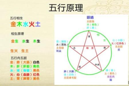 探秘五行相生相克,让你了解命理与属相的奥秘