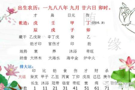 戊辰木命:探秘其内涵与人生轨迹的哲学智慧