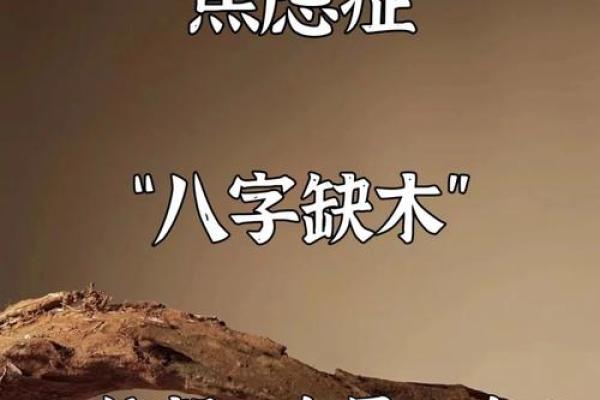五行缺木的命理解析与适宜调整