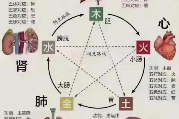 土命人与五行相生：适合的命格搭配解析