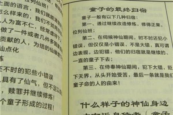 探寻命理奥秘：算命师与术命师的深刻含义