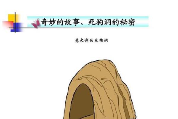 小拇指四节的秘密：透视命运与个性的奇妙联系