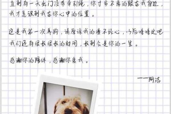 相依为命：探索人与人之间深厚的情感羁绊