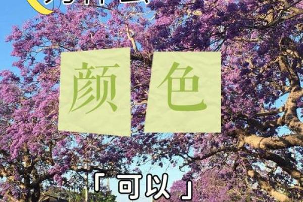 水命与金命家居配色秘籍：如何选择适合的颜色提升运势？