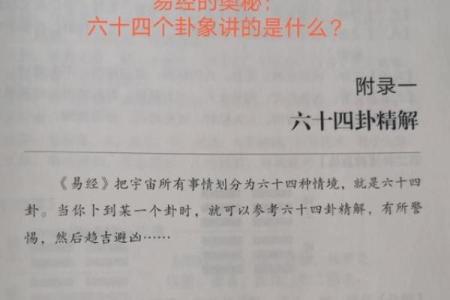 午时十一点半是什么命:揭示时间与命运的奥秘