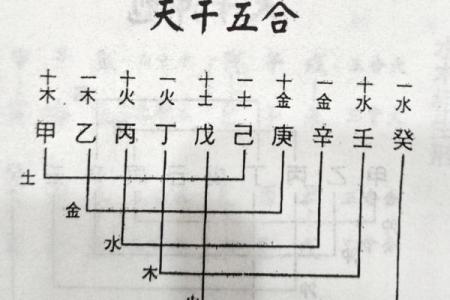 探讨木命与土命:命理中的和谐与对立