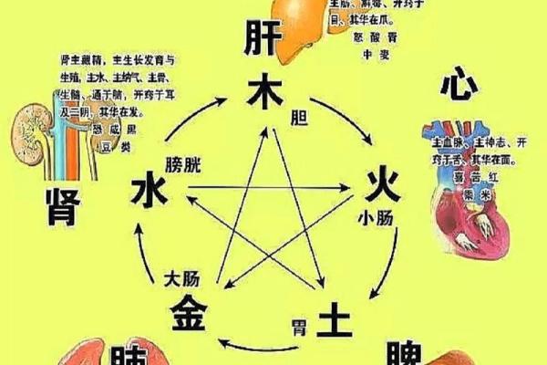 五行齐全中，火命人的独特魅力与未来运势探秘