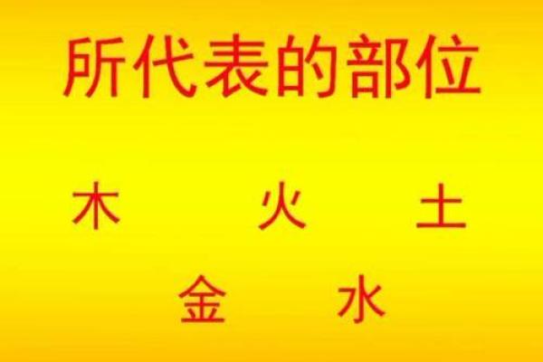 五行齐全中，火命人的独特魅力与未来运势探秘