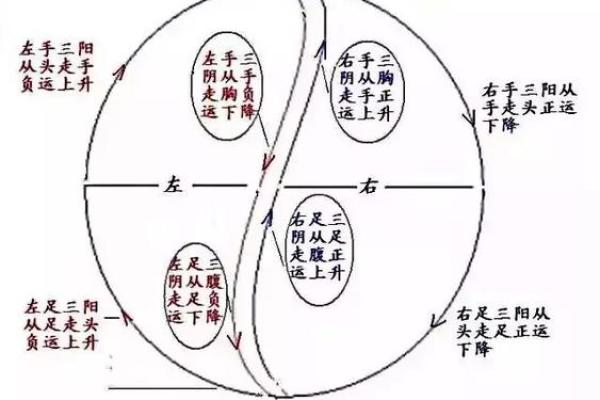 阴命与阳命的深度解析：解锁人生命运密码的钥匙