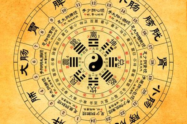 姓林的命运解析：从命理看人生的不同风景