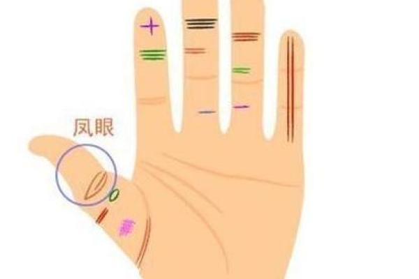 探寻“提命线”：揭开你的命运秘密之钥