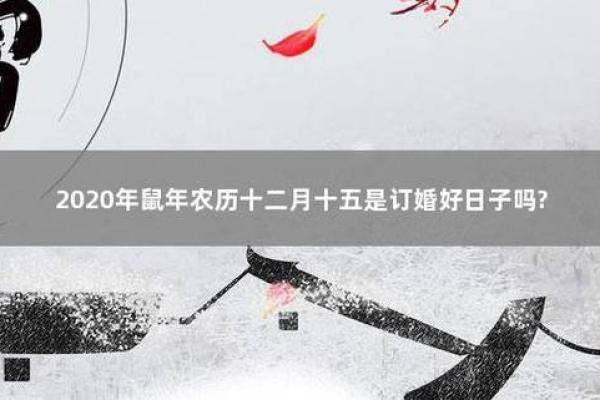鼠命的婚配指南：哪些命适合与鼠年生人携手共度一生？