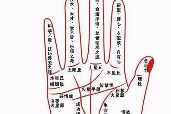 有偏财运的女人，命中注定的富贵人生探秘