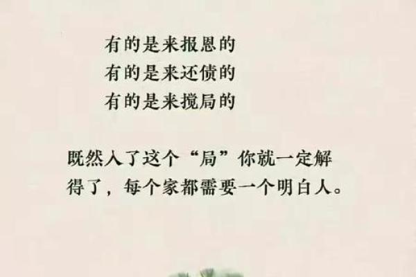 孙子代表六亲深意：探索女命中的家庭与命运关系