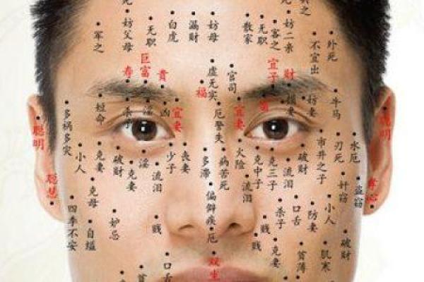 乙亥年出生女性的命运解析：探寻五行之下的深层意义