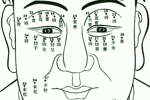 探索巨财命格：揭开财富与命运的秘密