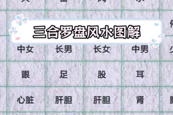 西四命坤命的理想住房选择与风水解析