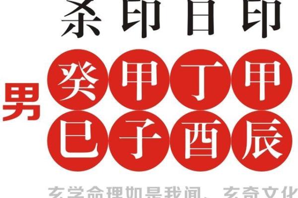 通过生日探索你的命理之道：从数字看人生设计