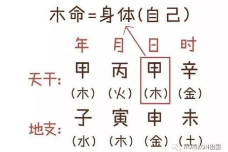 为什么木命不能吃大蒜?深度解析食物与命理的关系