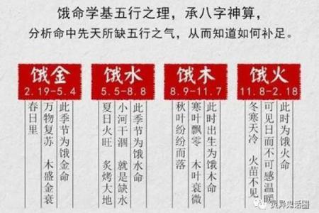 探秘命理：太阳命与花园命，究竟还有哪些命理的奥秘？