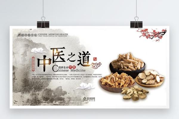 探秘中医肺脾命：身体与生命的和谐之道