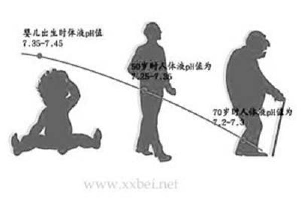 乙未命格解析：温柔与智慧的结合，寻找内心的平衡之道
