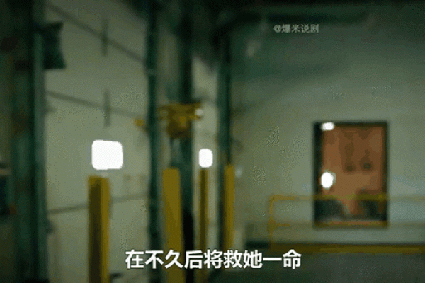 他什么都没做，却在关键时刻救了她一命