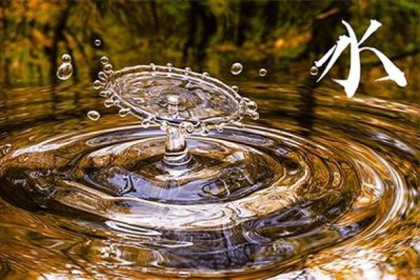 水命最忌从事的行业与事业选择建议解析