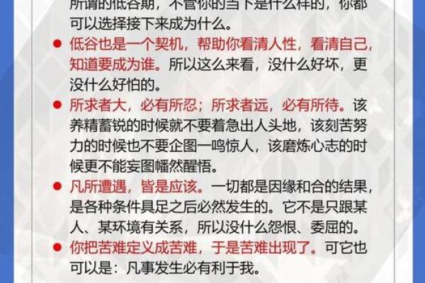 探讨“命”的本质与意义：人生的旅途与命运的交织
