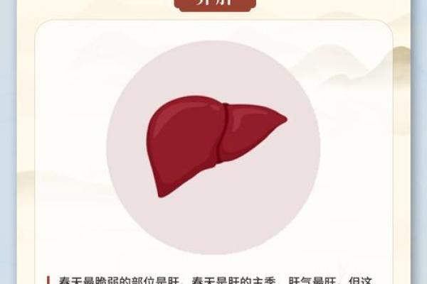 探秘五行：土命与金命的奥秘与相互关系