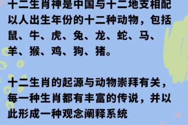 兔女命：不同出生时辰的影响与命理解析