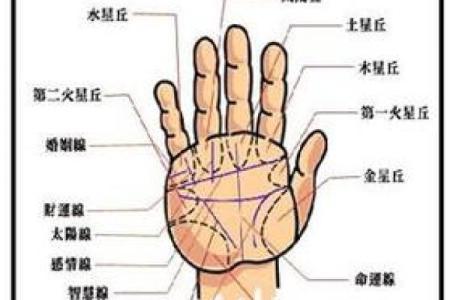 探秘手相中的太阳线：揭示你的好运命运!