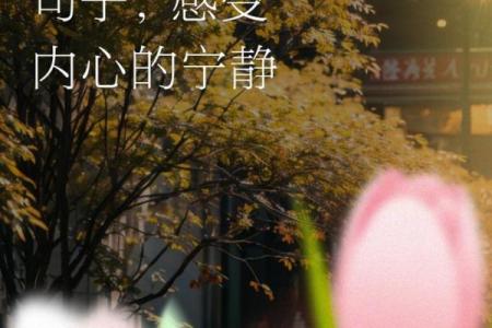 正业正命正定:追求内心宁静与人生幸福的三重境界