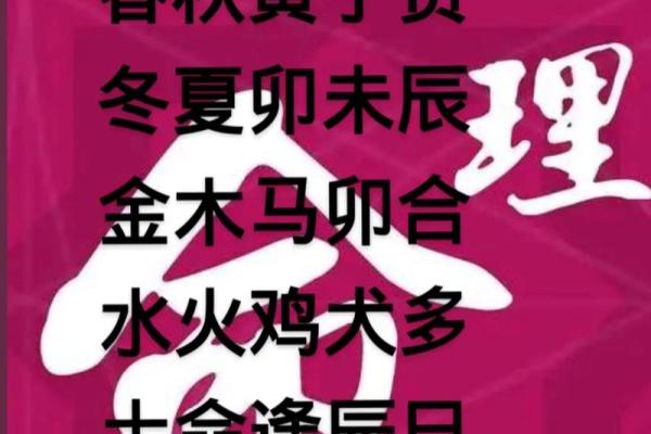 探索土命：如何理解和运用土命的智慧与特性