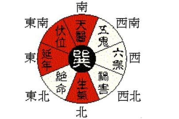 探索木命生肖的奥秘：你是否属于这个命格？