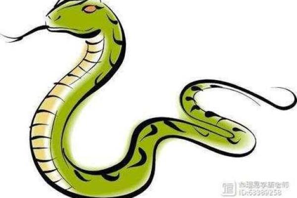 巳时出生男孩的命运：探秘命理背后的智慧与启示