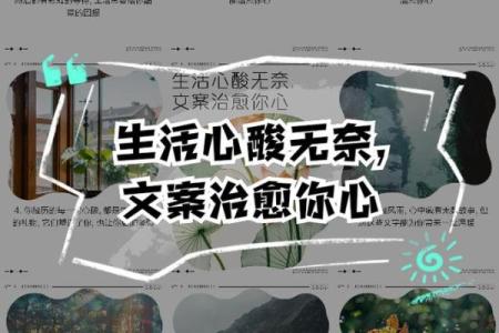 为什么我的命这么苦?探寻生活的无奈与希望