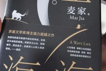 为什么好人的命都不好:生活中的悲剧与无奈